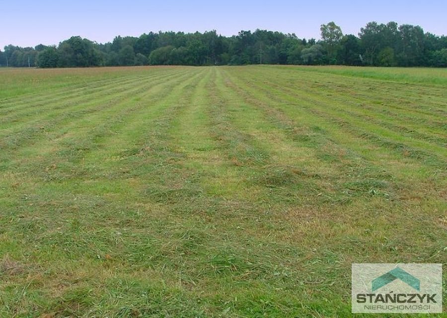 Działka rolna na sprzedaż Niechorze  3 000m2 Foto 1