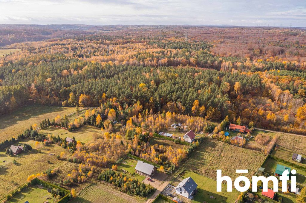 Działka budowlana na sprzedaż Czapielsk, Tasznikowa  2 198m2 Foto 5