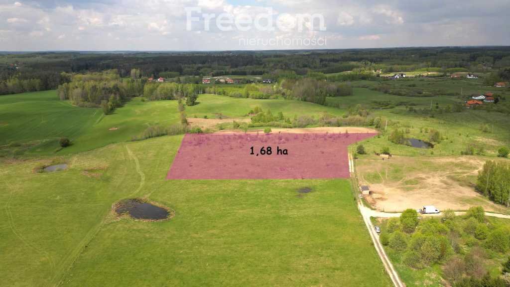 Działka rolna na sprzedaż Różnowo  16 800m2 Foto 3