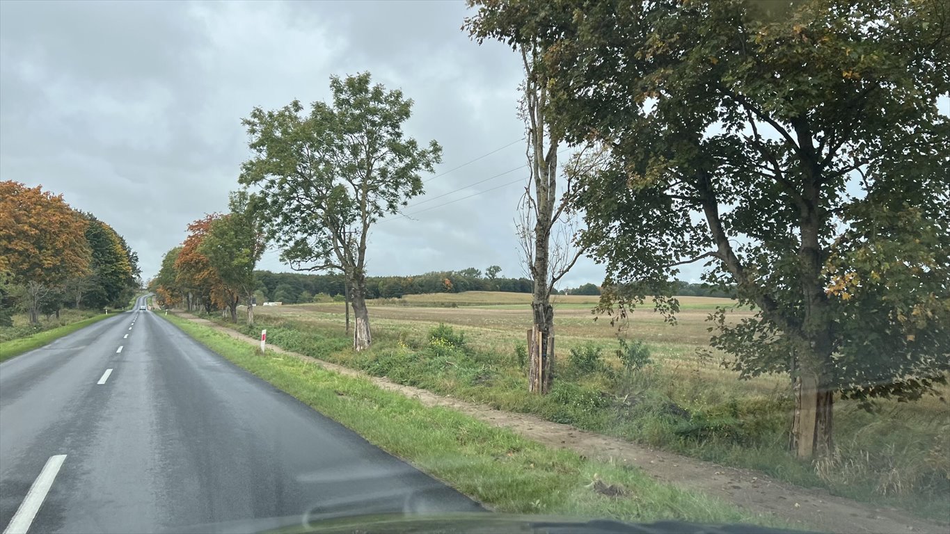 Działka rolna na sprzedaż Dygowo  3 000m2 Foto 1