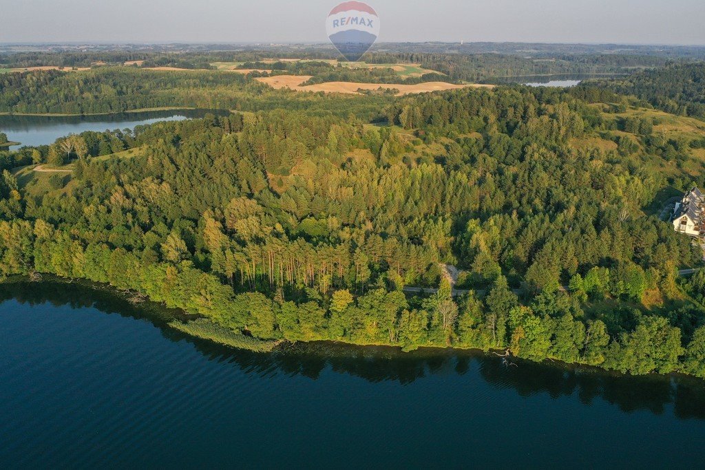 Działka budowlana na sprzedaż Nowy Probark  6 290m2 Foto 7