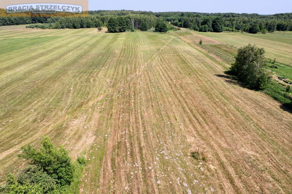 Działka inwestycyjna na sprzedaż Nowe Groszki  10 965m2 Foto 6