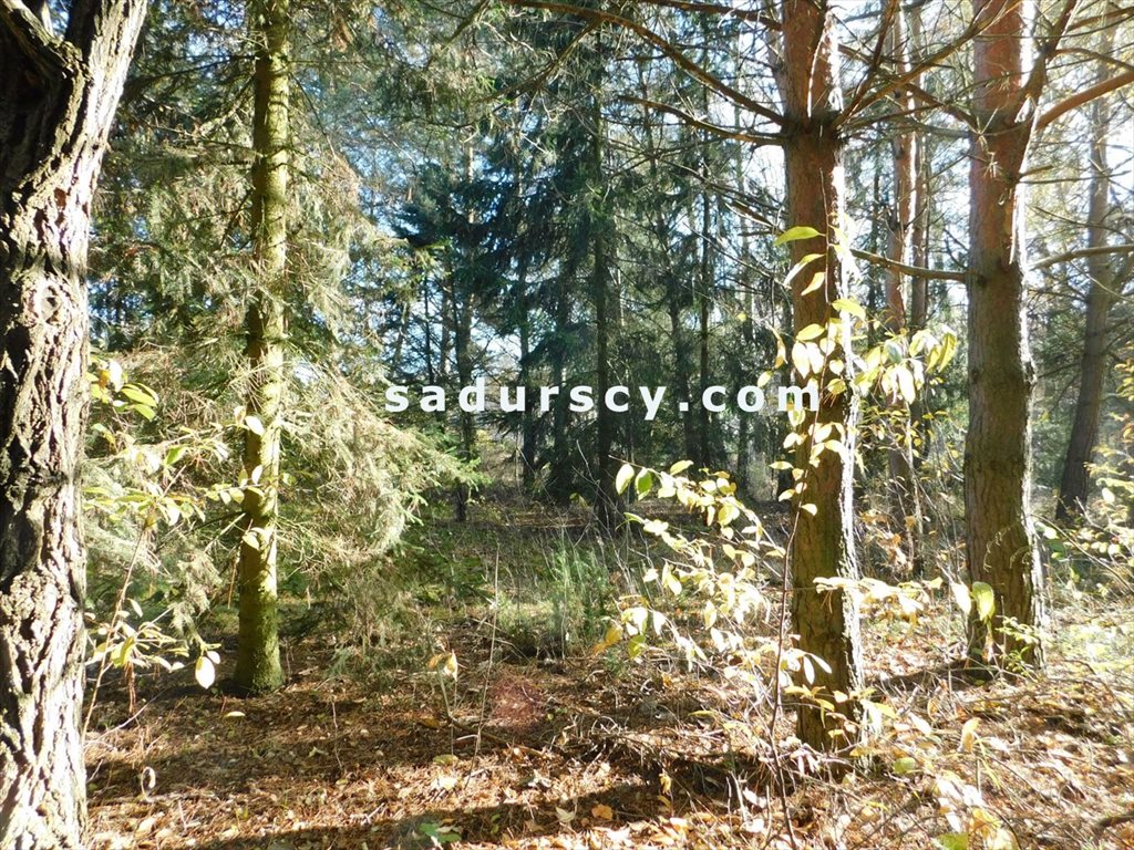 Działka 4100m² z domkiem, media, pod zabudowę Biały Ług  4 100m2 Foto 1