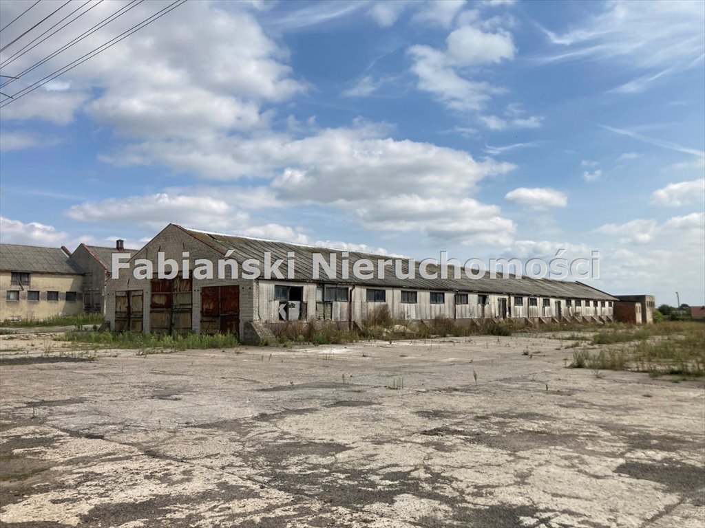 Lokal użytkowy na sprzedaż Łubnica, Baza Rolniczej Spółdzielni Produkcyjnej Łubnica, gmina Wielichowo, powiat grodziski  46 731m2 Foto 10