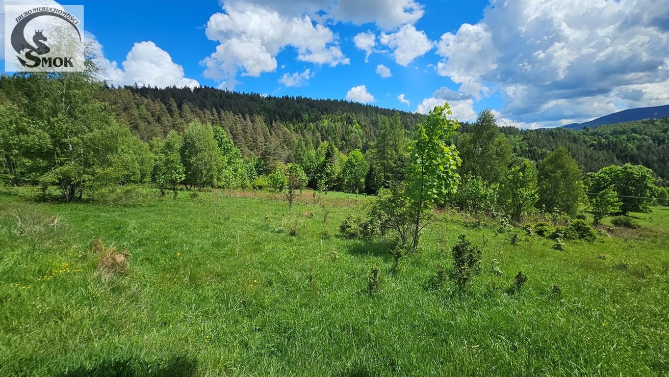 Działka budowlana na sprzedaż Jaworskie  3 250m2 Foto 7