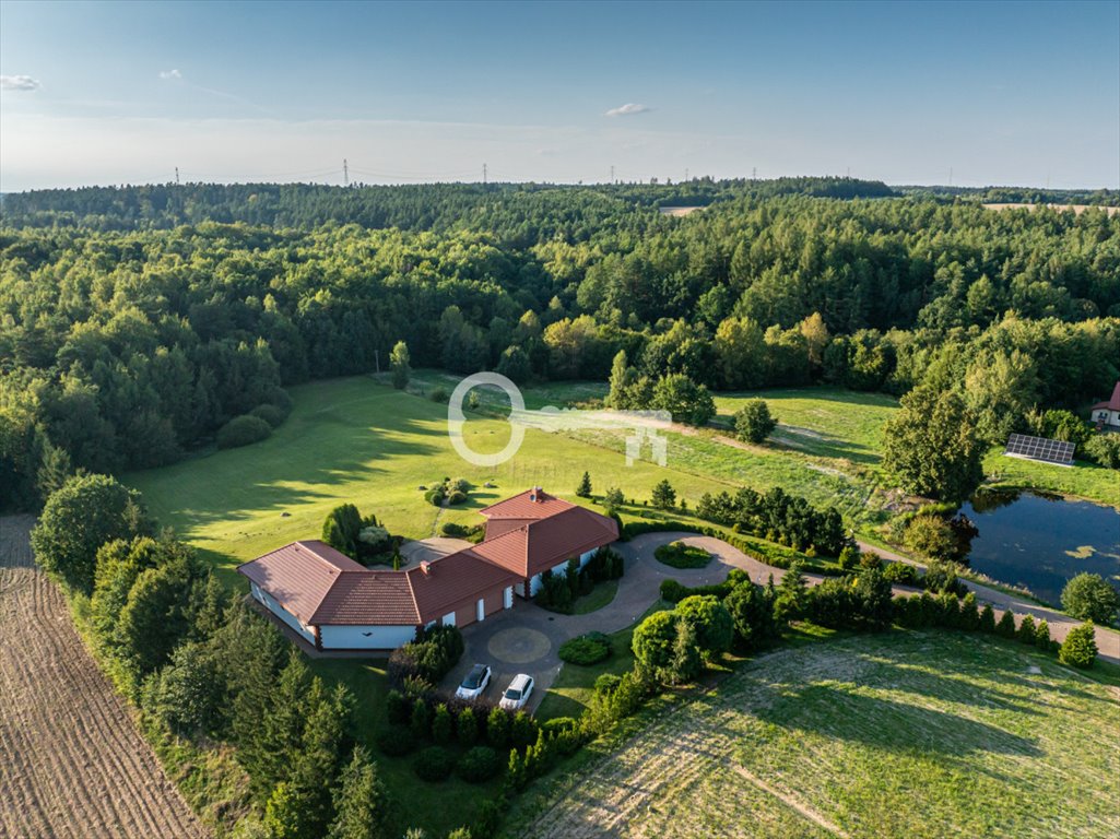 Działka rolna na sprzedaż Połęczyno  42 000m2 Foto 8