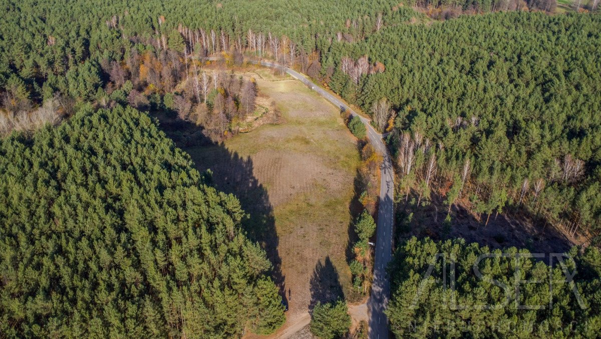 Działka rekreacyjna na sprzedaż Grądy Szlacheckie  15 400m2 Foto 5