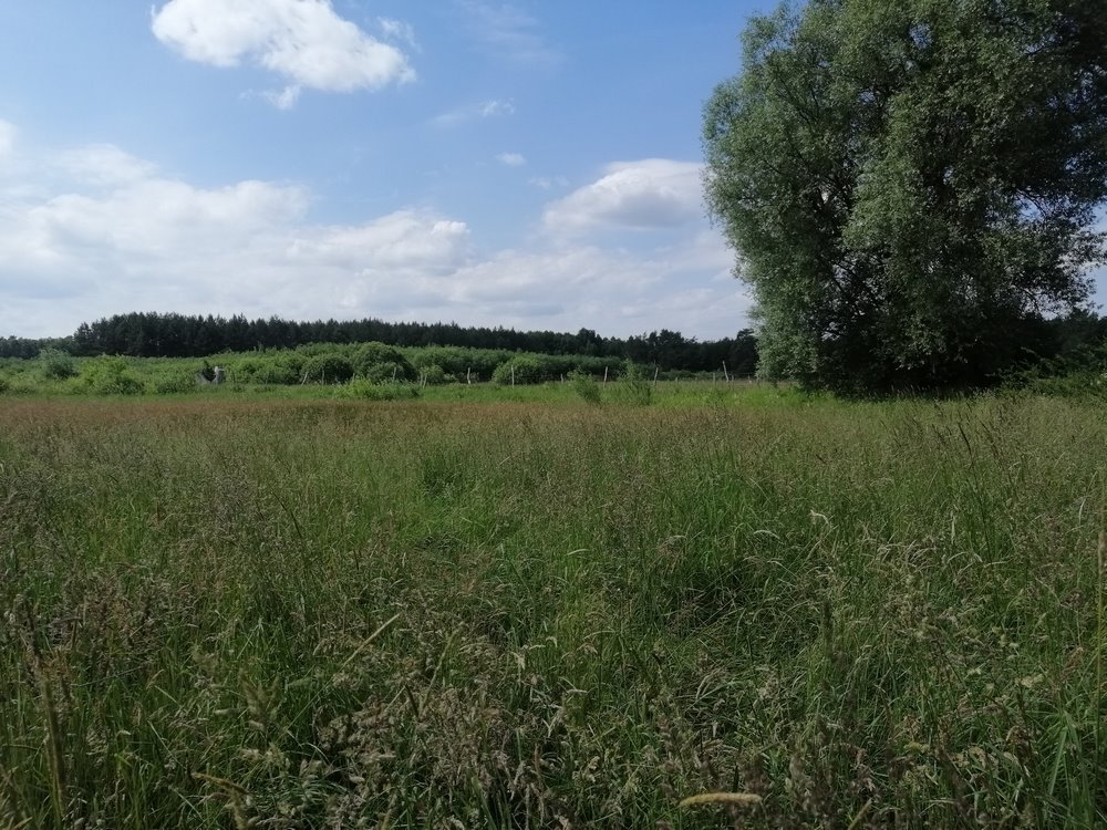 Działka inwestycyjna 8 473 m² w Przemoczu z warunkami zabudowy Przemocze  8 473m2 Foto 1
