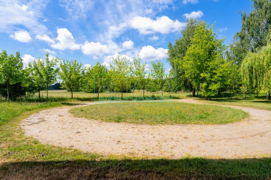 Działka siedliskowa na sprzedaż Pieńki Zarębskie  10 300m2 Foto 4