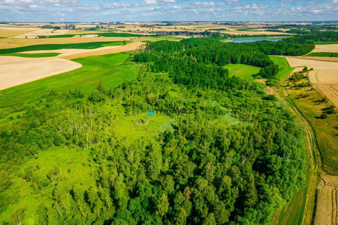 Zadrzewiona działka 6400 m² w Ciechocinie – prywatność i relaks Ciechocin  6 400m2 Foto 1