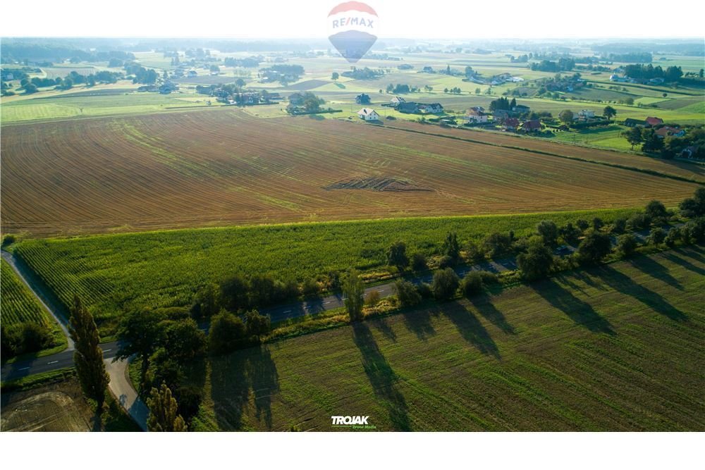 Działka komercyjna na sprzedaż Rudnik  12 316m2 Foto 6