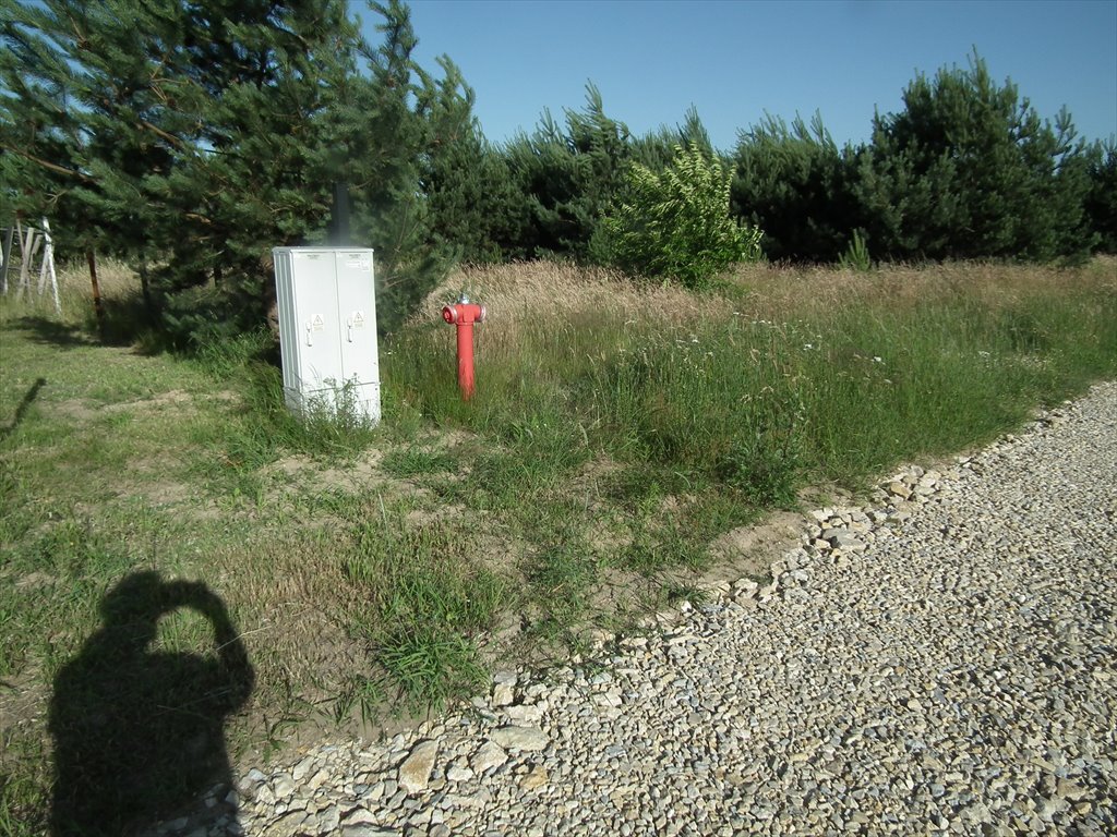 Działka budowlana na sprzedaż czarkow, koło wielowsi, rozana  750m2 Foto 1