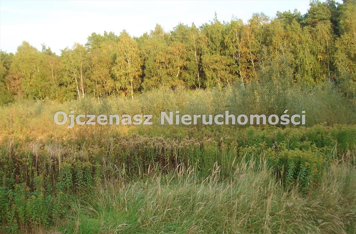 Działka 3000 m² z warunkami zabudowy, blisko jeziora Teolog  3 000m2 Foto 1
