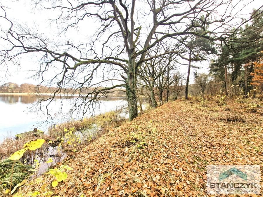 Działka budowlana na sprzedaż Golczewo  1 350m2 Foto 3