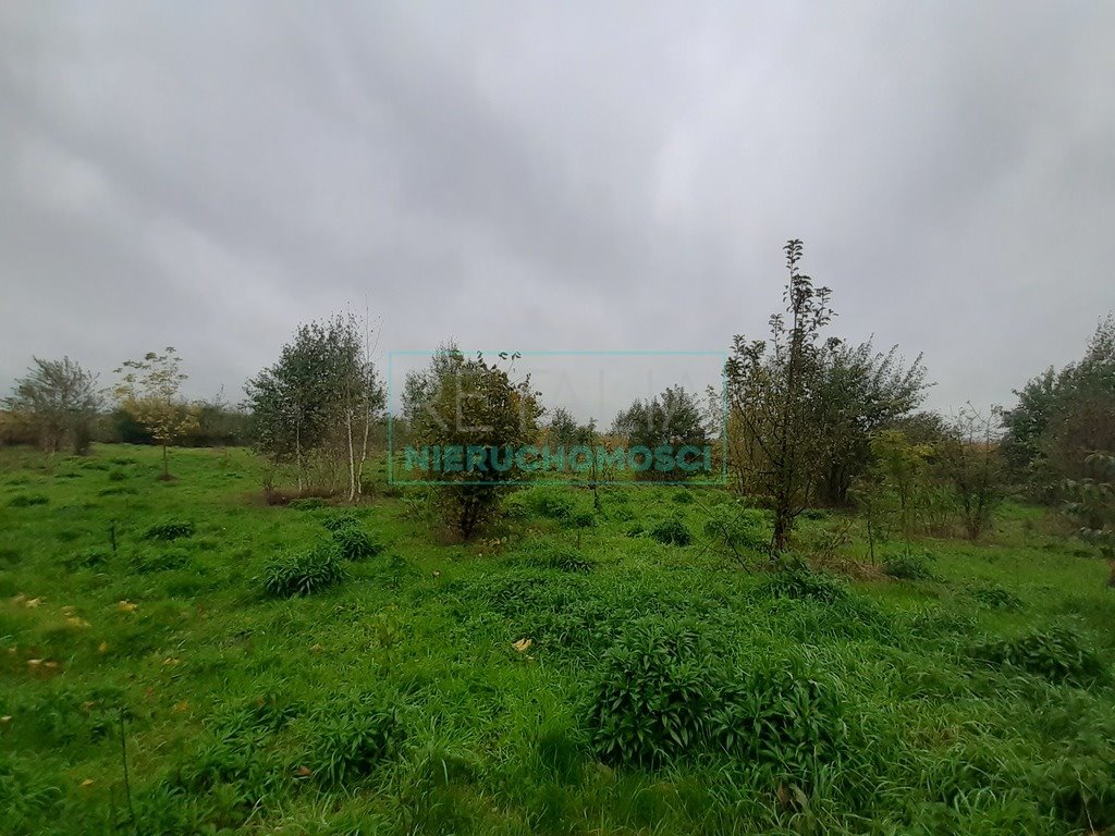 Działka budowlana na sprzedaż Brwinów  15 722m2 Foto 1