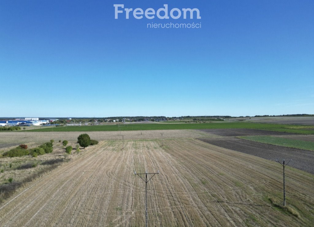 Działka rolna na sprzedaż Opole Lubelskie  14 009m2 Foto 1