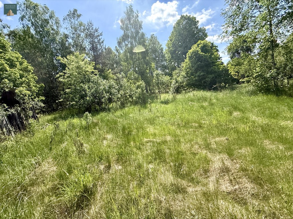 Działka 3500 m² z fundamentem, prąd, woda, las, spokój Policzna  3 500m2 Foto 1