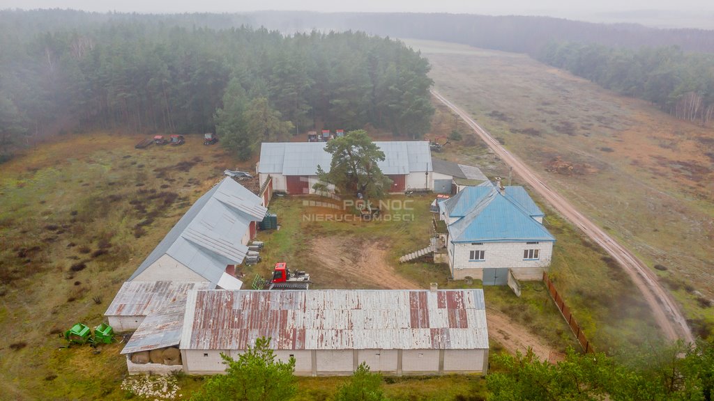 Działka rolna na sprzedaż Olszowa Droga  228 800m2 Foto 3