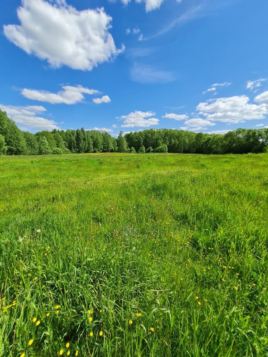 Działka budowlana na sprzedaż Raczki, Nadrzeczna  900m2 Foto 3