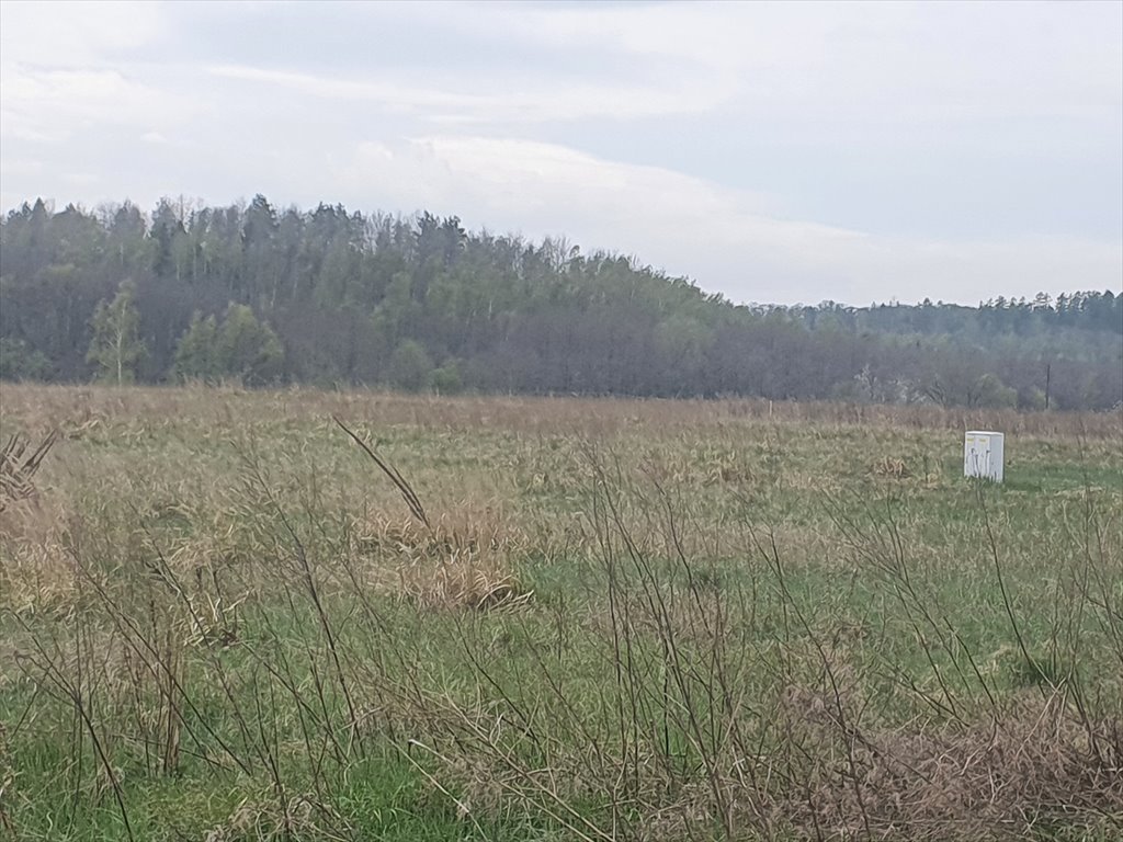 Zdjęcie 6