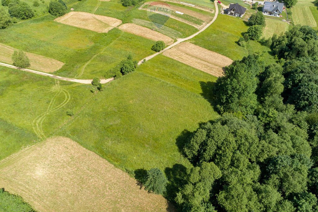 Działka rolna na sprzedaż Tenczyn  3 280m2 Foto 18