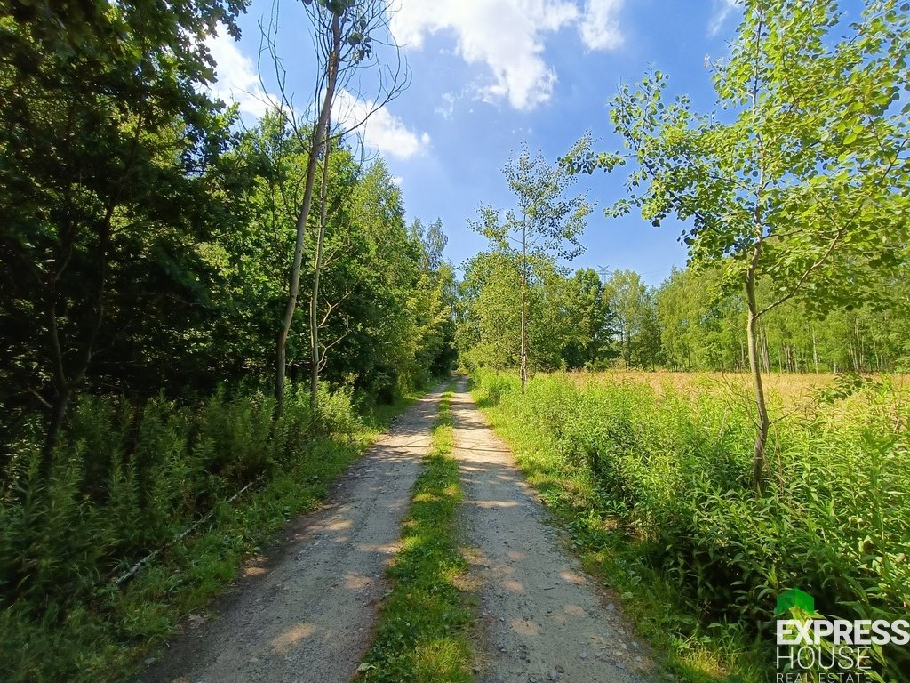 Działka budowlana na sprzedaż Pogorzel  2 072m2 Foto 3