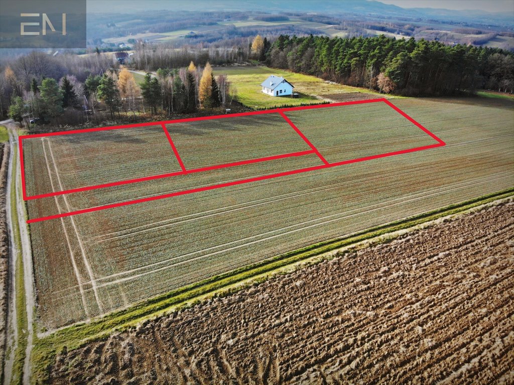 Działka budowlana na sprzedaż Gbiska  2 159m2 Foto 2