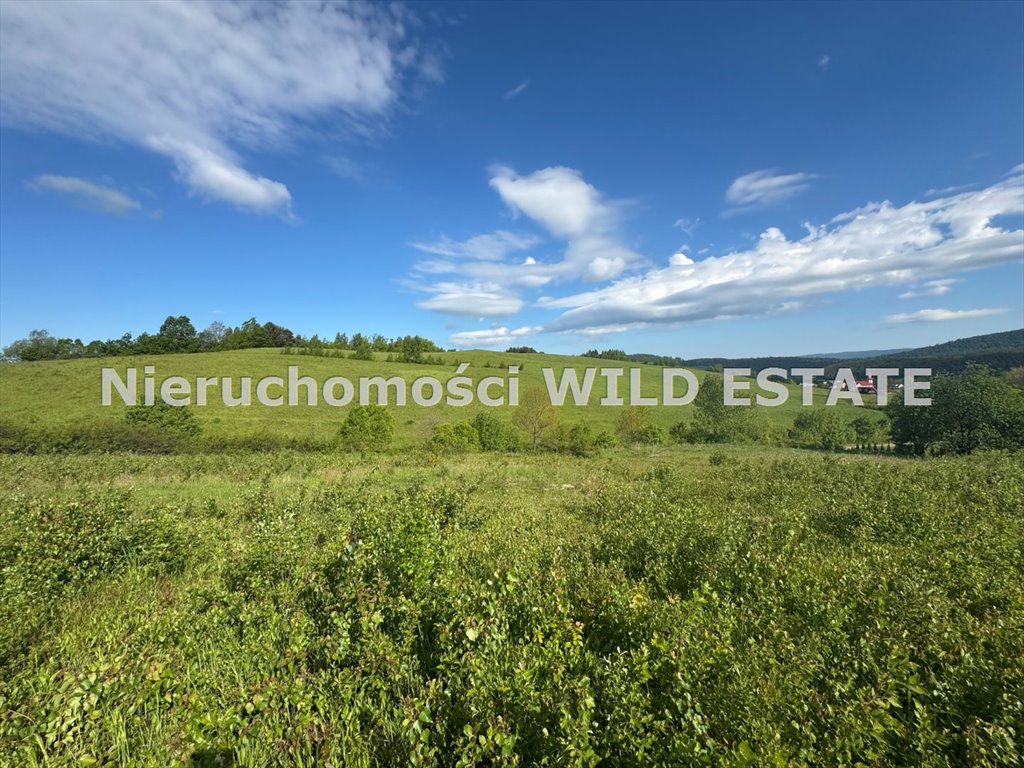 Działka budowlana z warunkami zabudowy, widokowa, 14,25 ar Lesko, Średnia Wieś  1 425m2 Foto 1