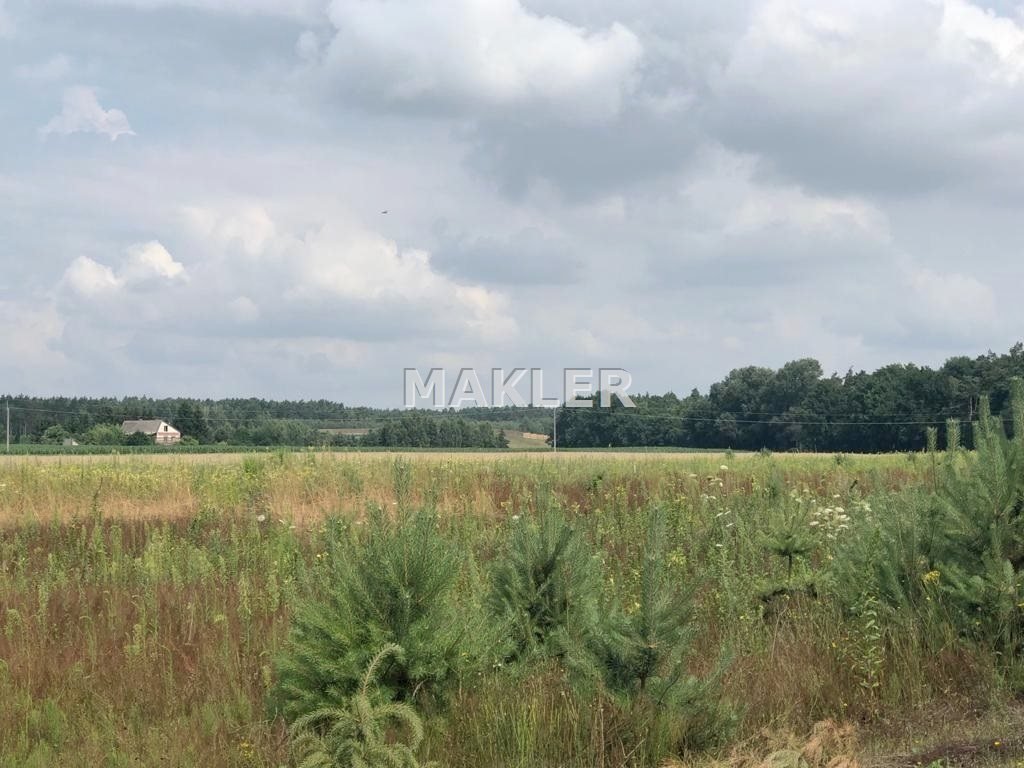 Działka budowlana na sprzedaż Wilcze  1 050m2 Foto 2