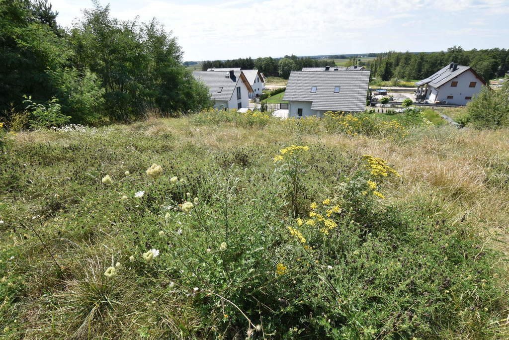 Działka budowlana na sprzedaż Górki  1 229m2 Foto 13