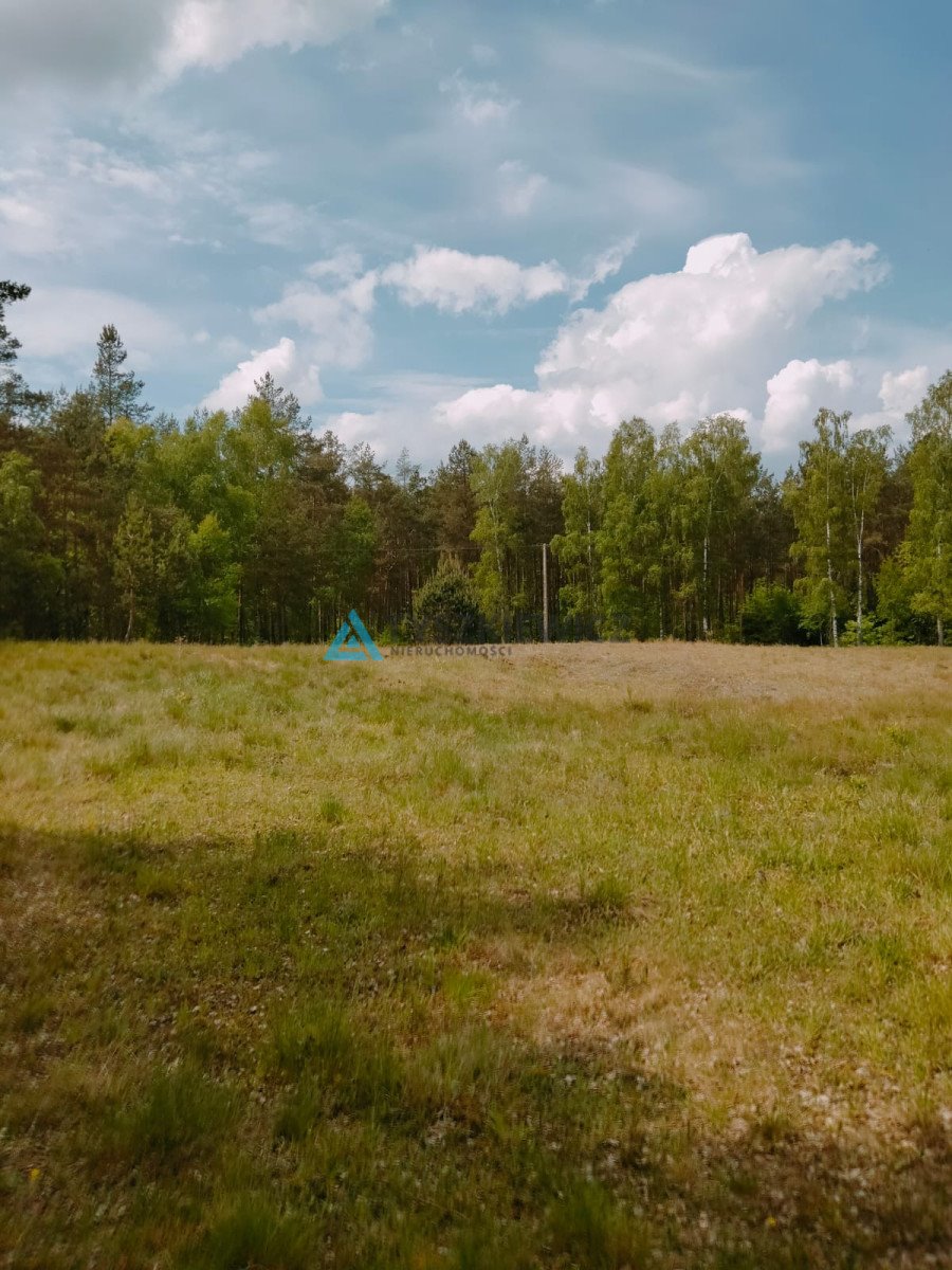 Działka przemysłowo-handlowa na sprzedaż Stara Kiszewa, Leśna  13 199m2 Foto 12