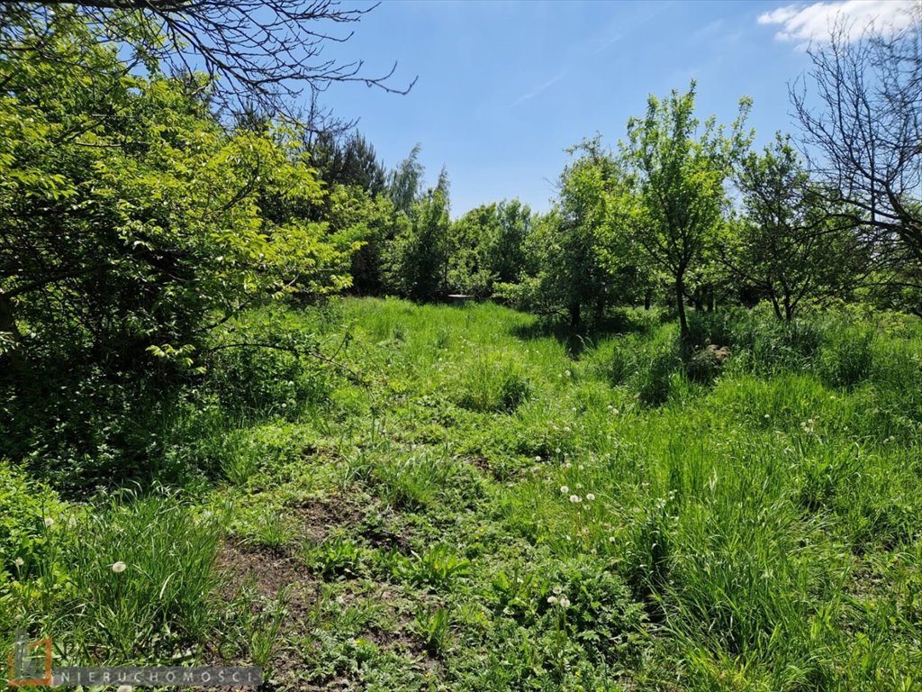 Lokal użytkowy na sprzedaż Maszków  100m2 Foto 6