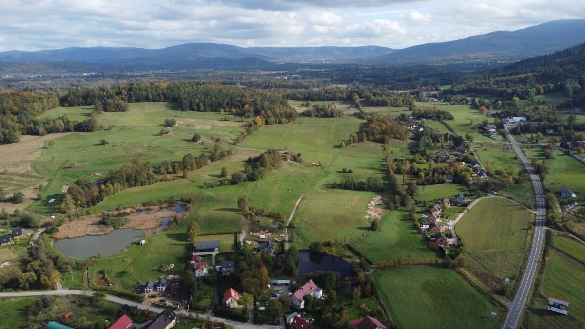 Działka przemysłowo-handlowa na sprzedaż Sosnówka, Jeleniogórska  6 442m2 Foto 10