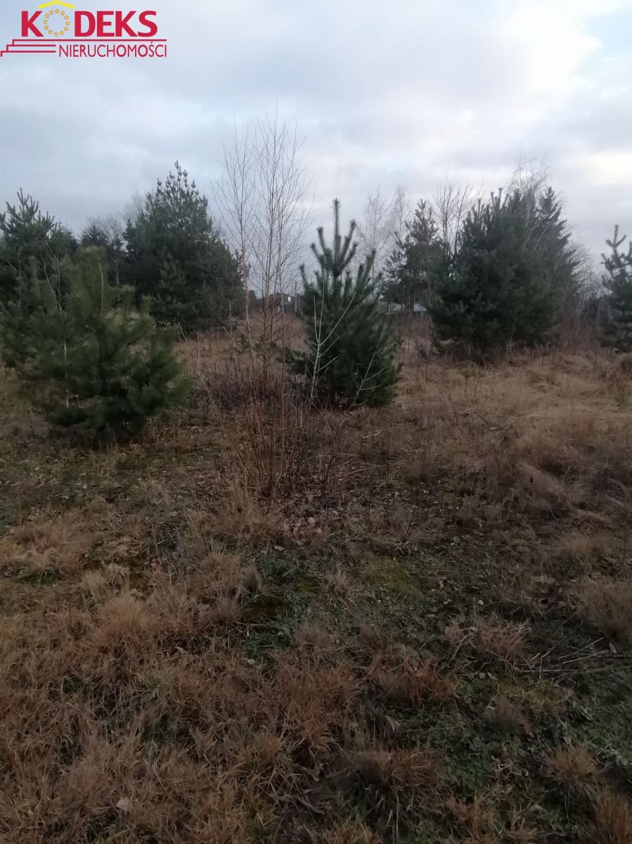 Działka 900 m² pod dom jednorodzinny, media, las i Zalew Jachranka  900m2 Foto 1