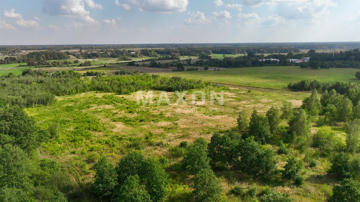 Działka budowlana na sprzedaż Runów  15 924m2 Foto 16