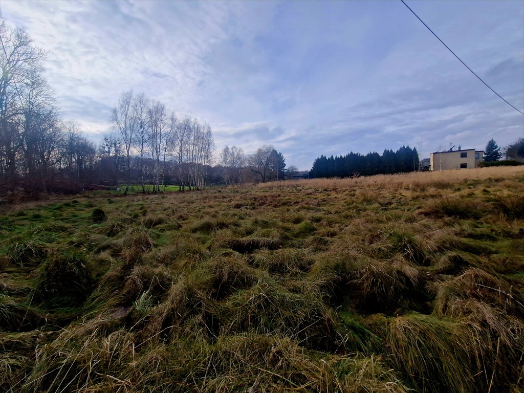 Do sprzedania działka pod wielorodzinną inwestycję w Łaziskach Górnych Łaziska Górne, Rybnicka  5 119m2 Foto 1