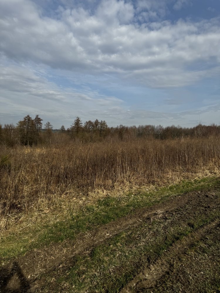 Działka rolna na sprzedaż Brzoskwinia, Górska  56 300m2 Foto 10