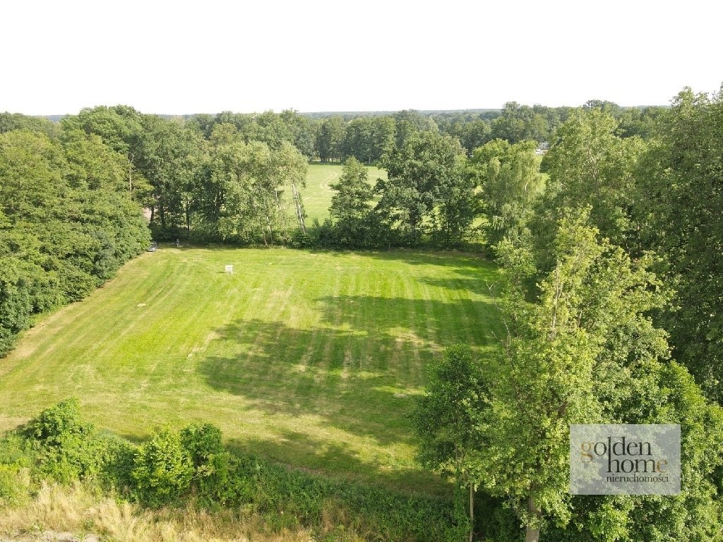 Działka budowlana na sprzedaż Kąkolewo, Albertowsko  5 000m2 Foto 12