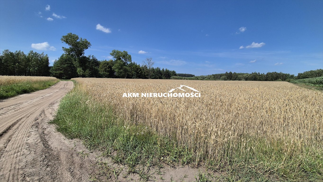 Działka inna na sprzedaż Franciszkowo  20 500m2 Foto 3