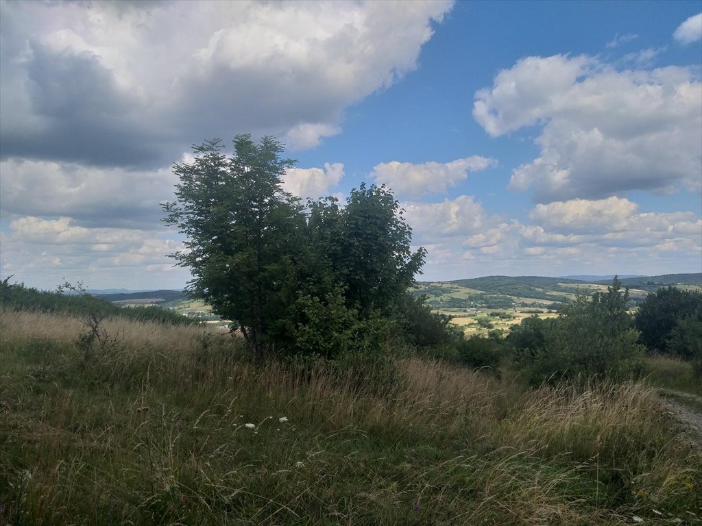 Działka rolna na sprzedaż Makowiska  9 700m2 Foto 9