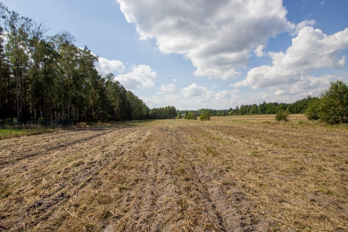 Działka budowlana na sprzedaż Kamińsko  800m2 Foto 7