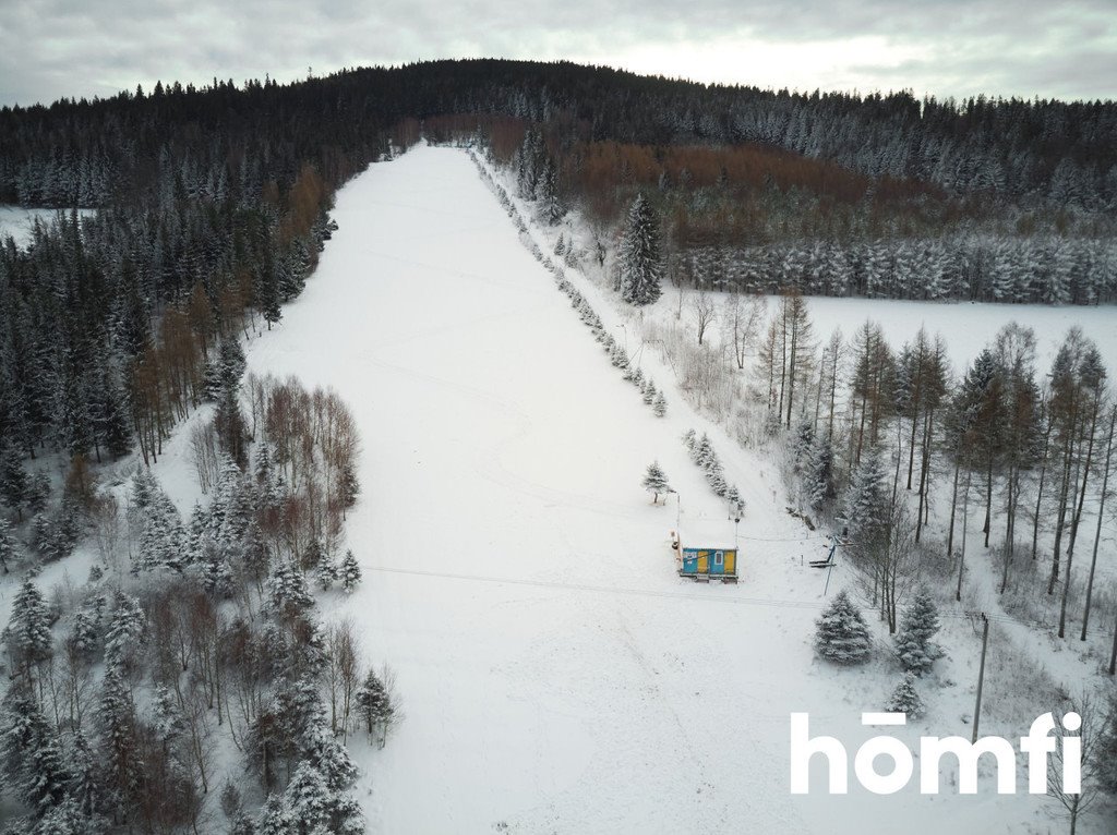 Dom na sprzedaż Nowy Gierałtów  2 333m2 Foto 10