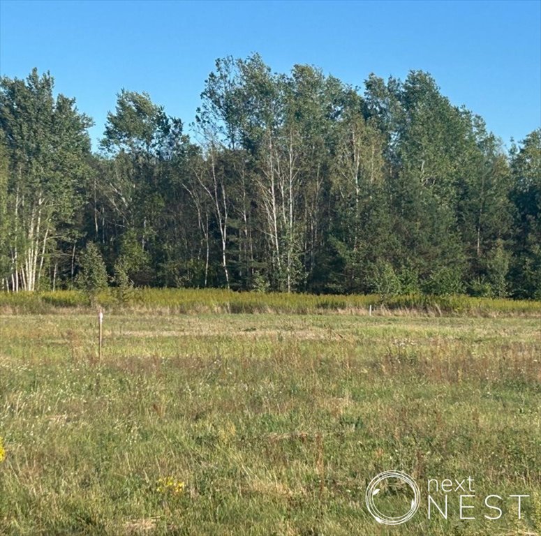 Zapraszam do obejrzenia działki 900 m² pod zabudowę w Szczakach Szczaki  900m2 Foto 1