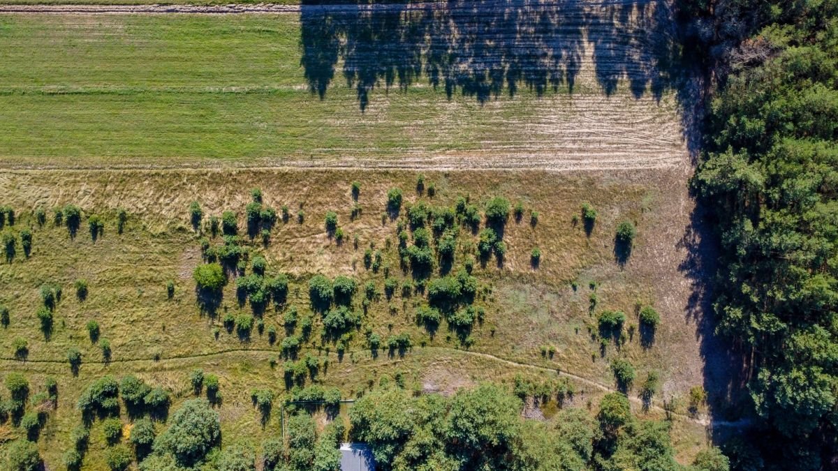 Działka rekreacyjna na sprzedaż Michałowo  9 500m2 Foto 8