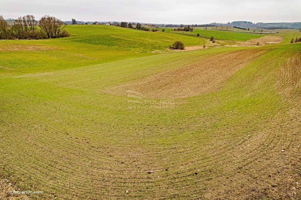 Działka budowlana na sprzedaż Muntowo  3 002m2 Foto 10