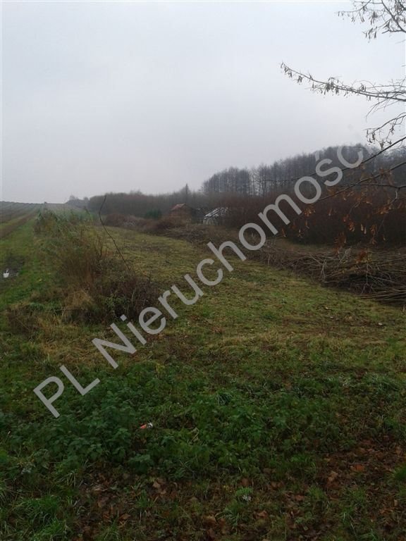 Działka budowlana na sprzedaż Stare Rowiska 19 800m2 Foto 1 Działka budowlana na sprzedaż Stare Rowiska 19 800m2 Foto 1