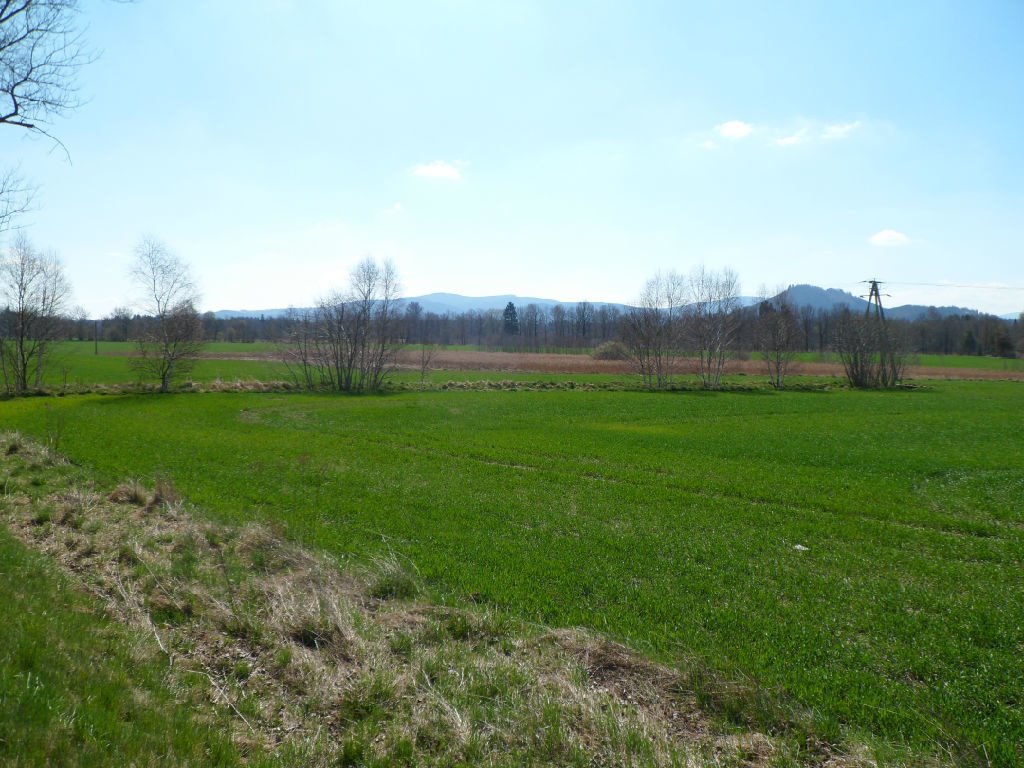 Działka inwestycyjna 22 000 m² z mediami, widoki na Karkonosze Jelenia Góra, Maciejowa  22 000m2 Foto 1