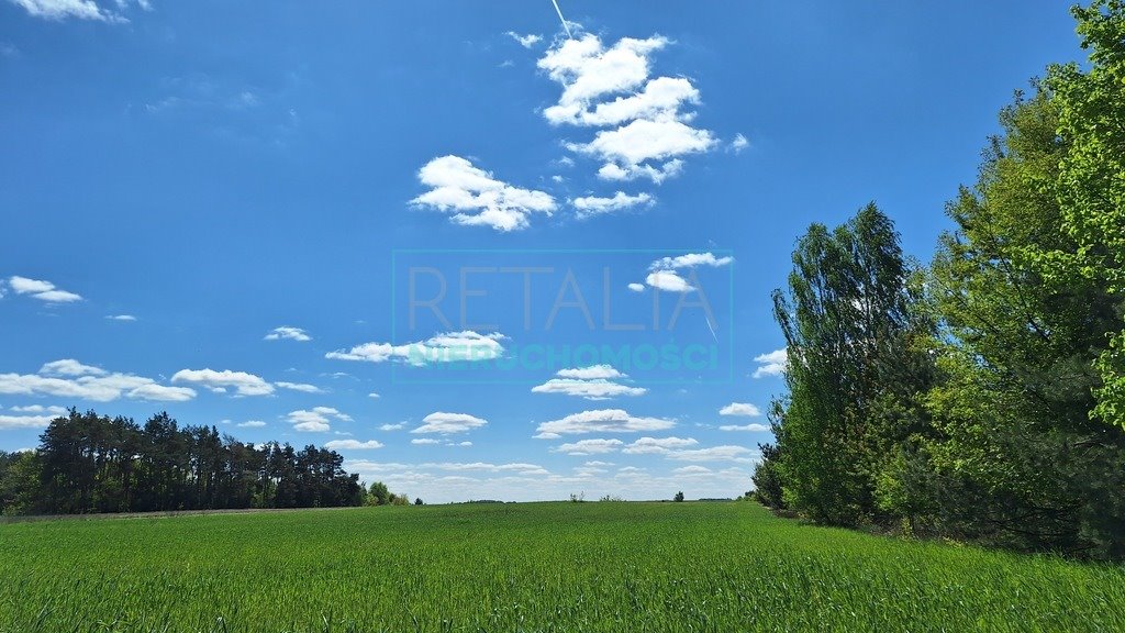 Działka rolna na sprzedaż Wola Pieczyska  51 437m2 Foto 1