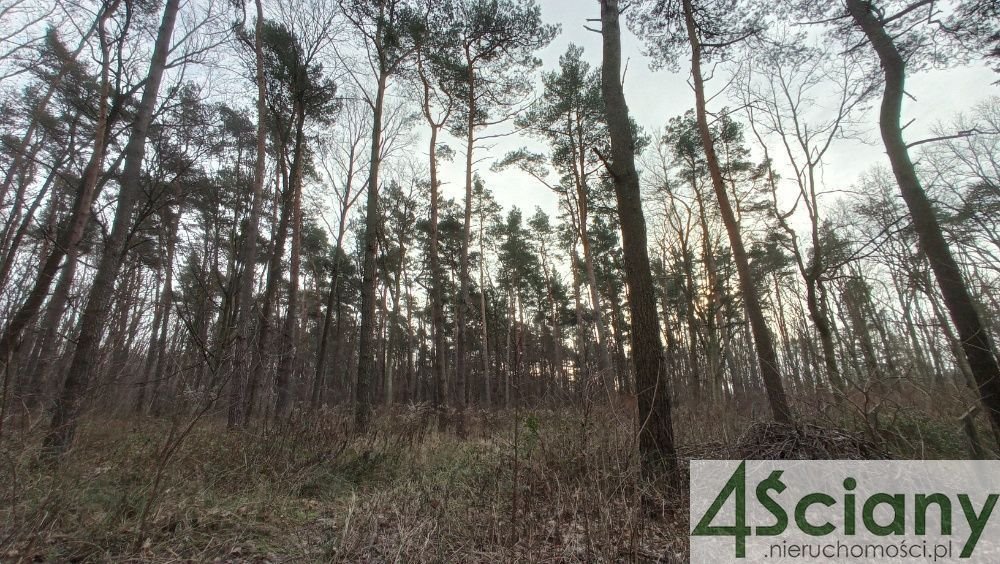 Działka leśna z prawem budowy na sprzedaż Warszawa, Wawer, Anin  2 030m2 Foto 2