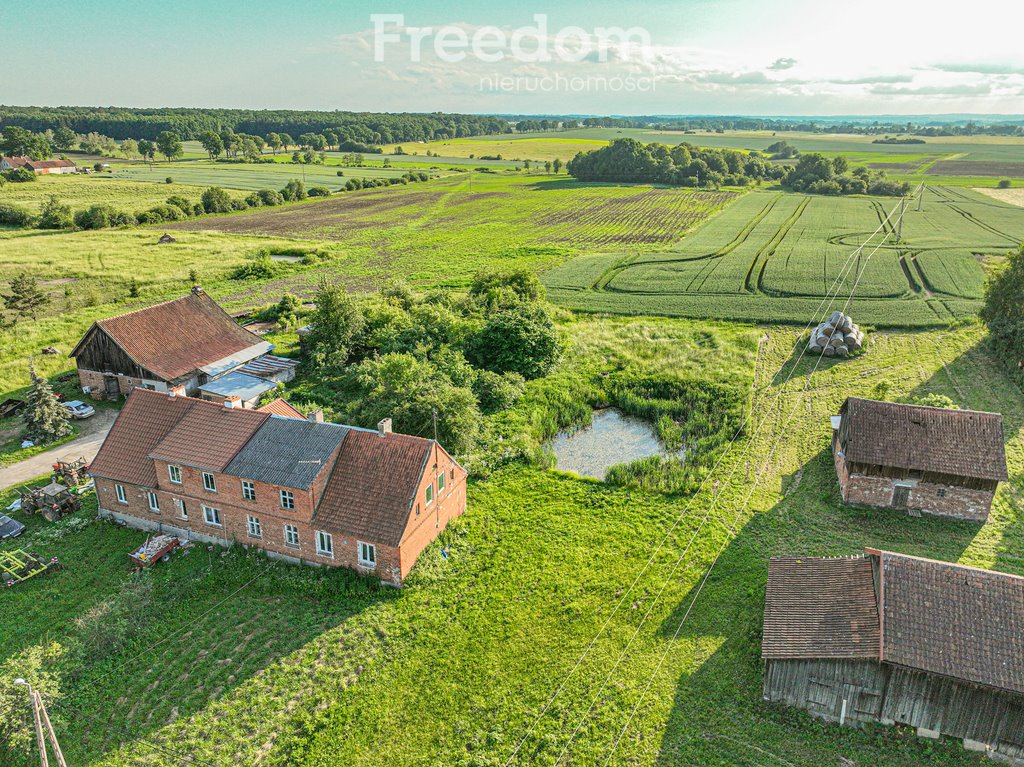 Działka siedliskowa na sprzedaż Młynary  3 311m2 Foto 15